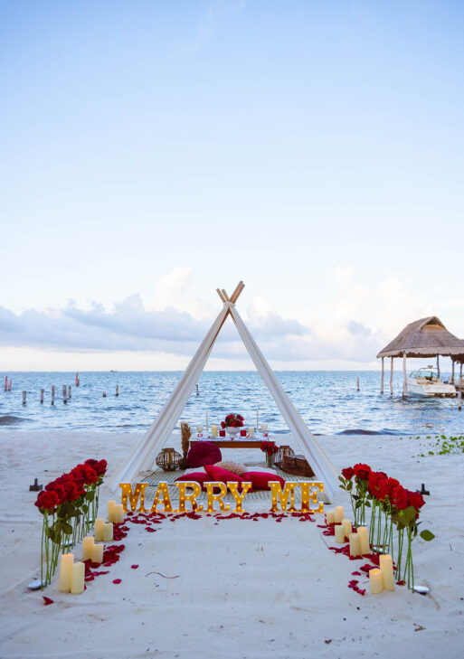Picnic Proposal