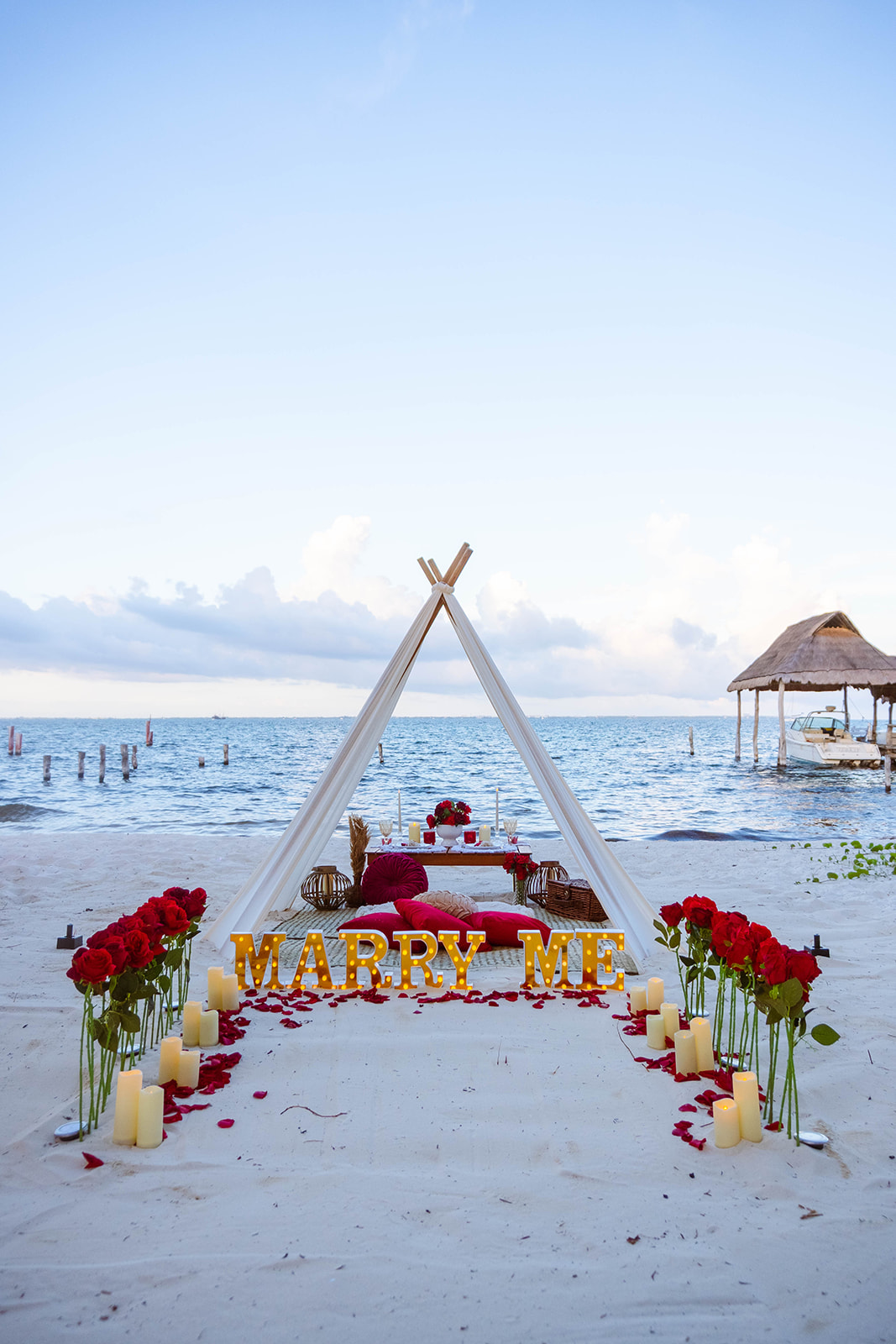 Picnic Proposal